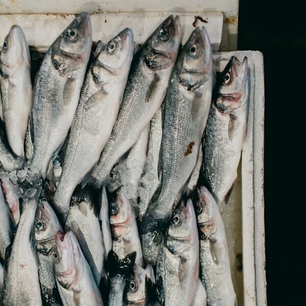 Pescatori di Ortona
