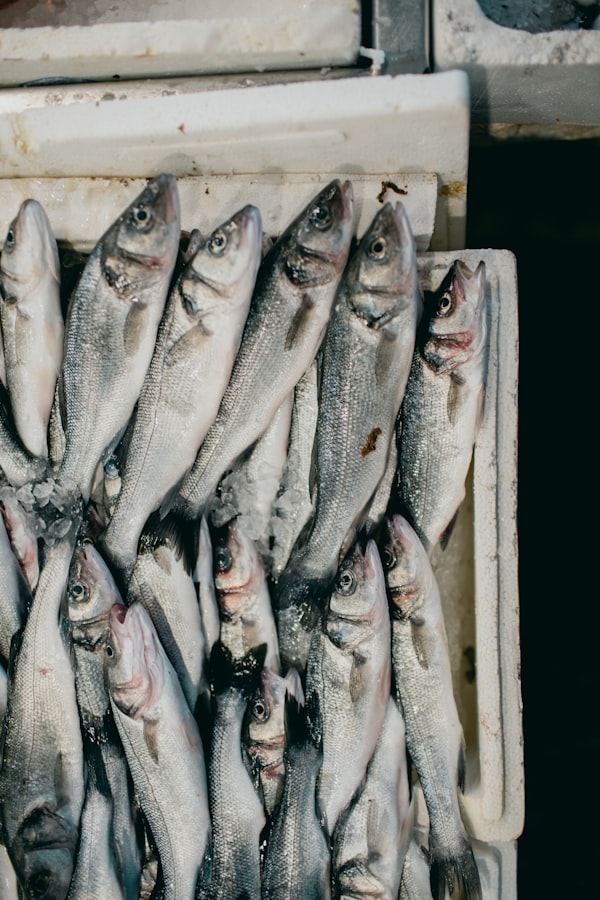 Pescatori di Ortona